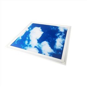 Decorative Ceiling Light Panels
